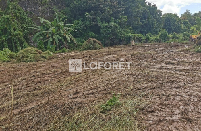 Vente Terrain 1566m² 4 pièces Les Abymes