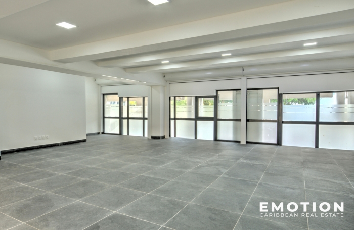 LOCAL COMMERCIAL 115 m2 - A VENDRE