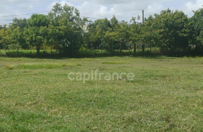 Vente Terrain 97131