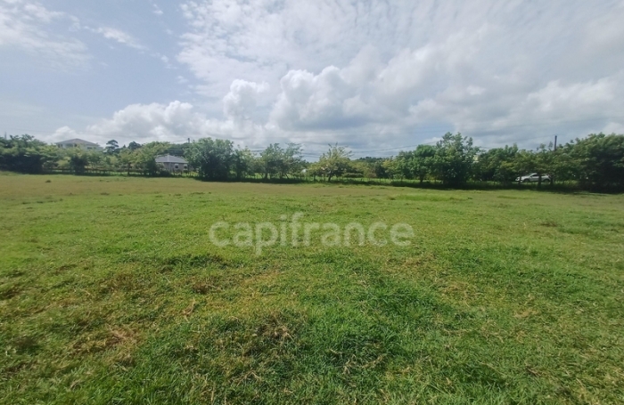 Vente Terrain 1000m&sup2; Petit-Canal