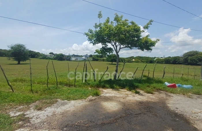 Vente Terrain 1000m&sup2; Petit-Canal