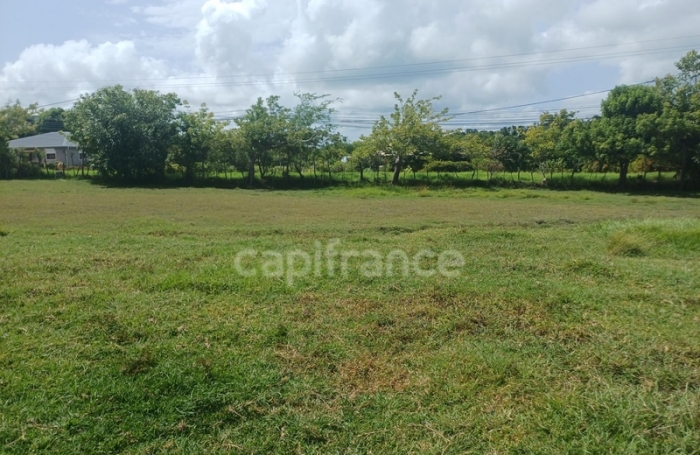 Vente Terrain 1000m&sup2; Petit-Canal