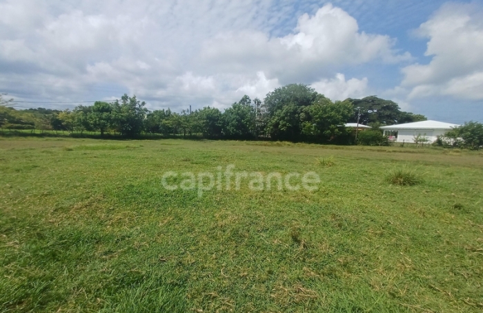 Vente Terrain 1000m&sup2; Petit-Canal