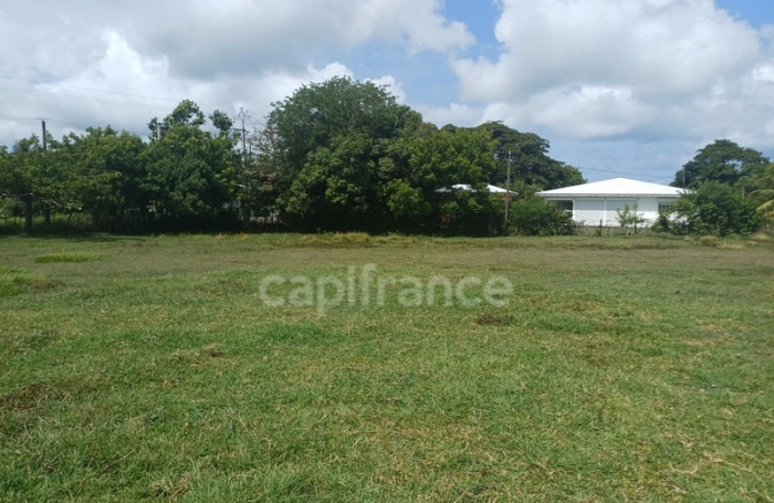 Vente Terrain 1000m&sup2; Petit-Canal