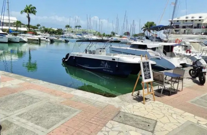 Vente Appartement 97190