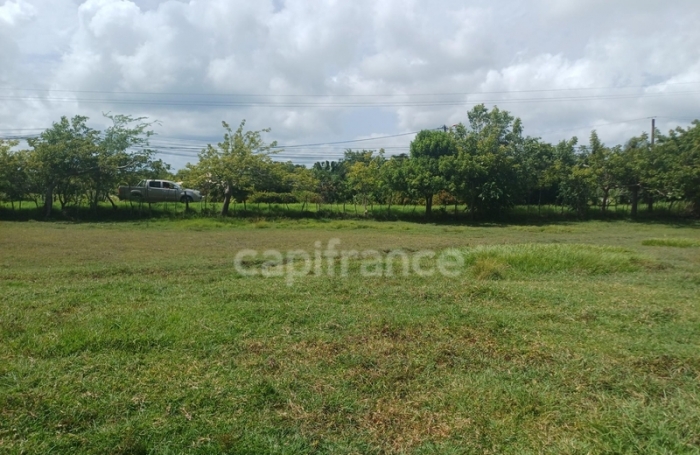 Vente Terrain 97131