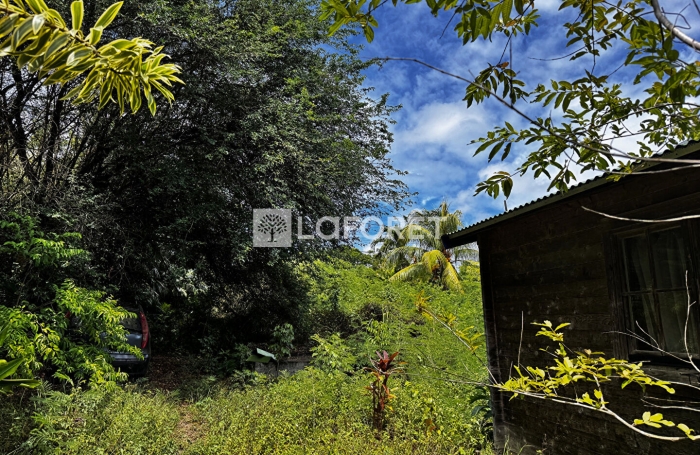 Vente Terrain 801m&sup2; Anse-Bertrand