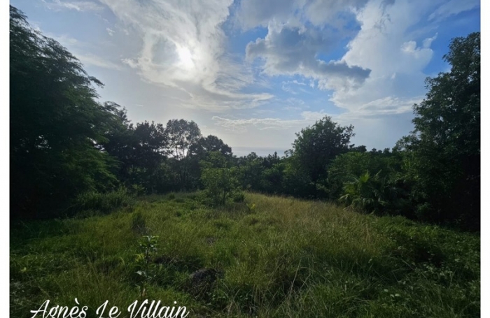 Vente Terrain 2983m&sup2; Bouillante