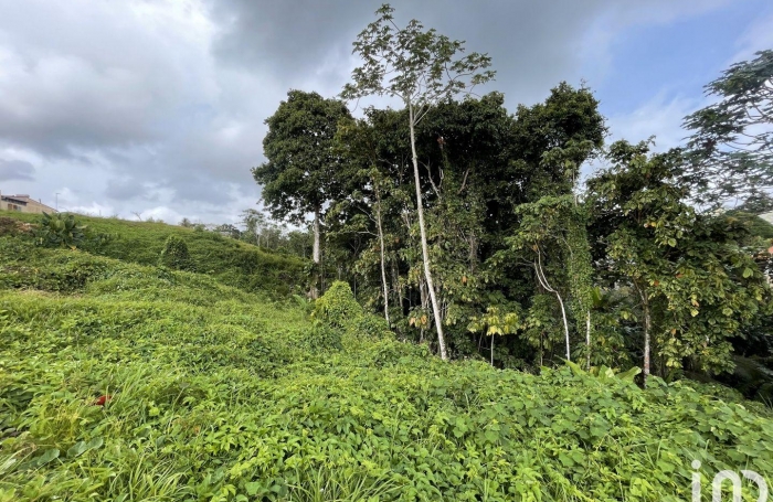 Vente Maison 95m&sup2; 4 pièces Petit-Bourg