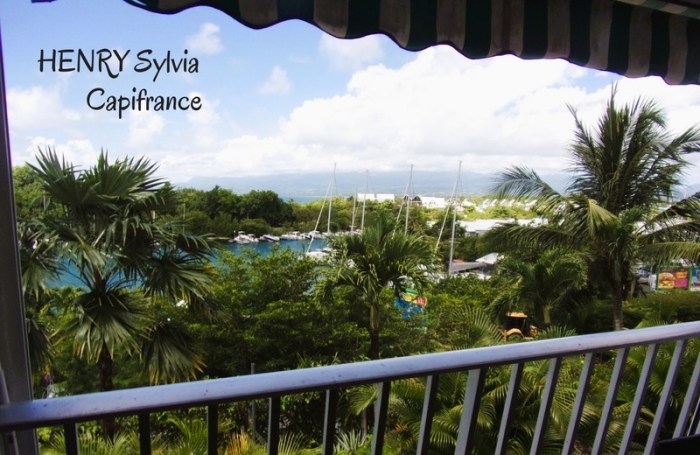 Vente Appartement 97190