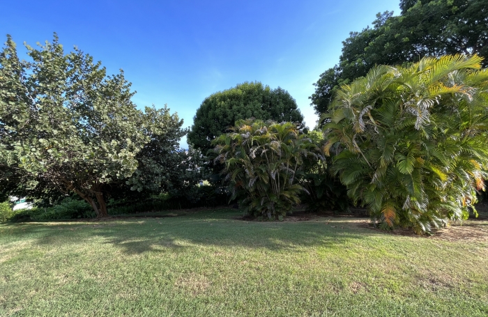 Studio investissement locatif