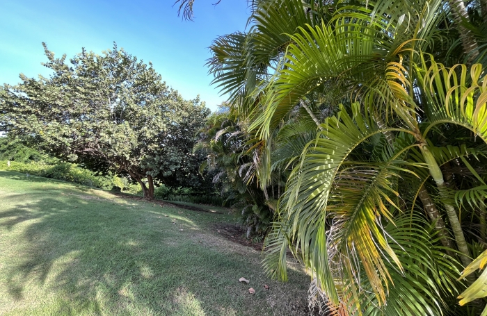 Studio investissement locatif