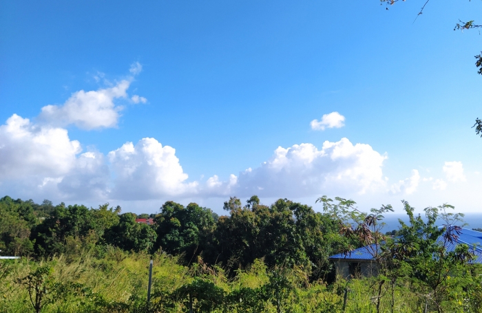 Ne passez pas à côté de ce Beau terrain de 1000 m2 avec vue sur la mer à vendre à VIEUX HABITANTS