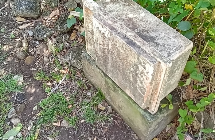 GOURBEYRE  BLANCHET TERRAIN A BATIR DE 545 M2