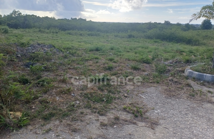 Vente Terrain 600m&sup2; Anse-Bertrand
