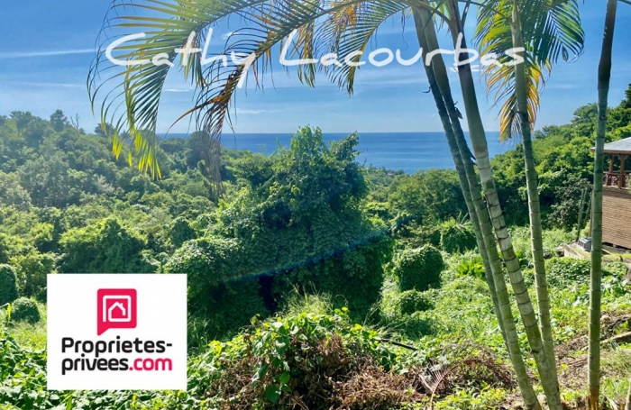 Vente Terrain 7709m&sup2; Bouillante