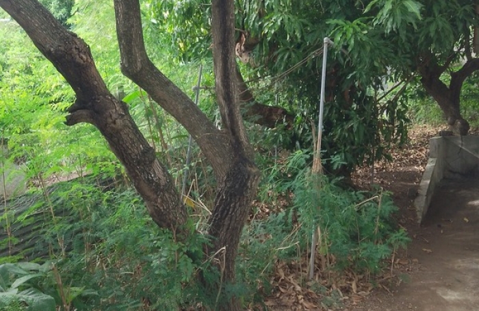 Vente Maison 60m&sup2; 4 pièces Basse-Terre