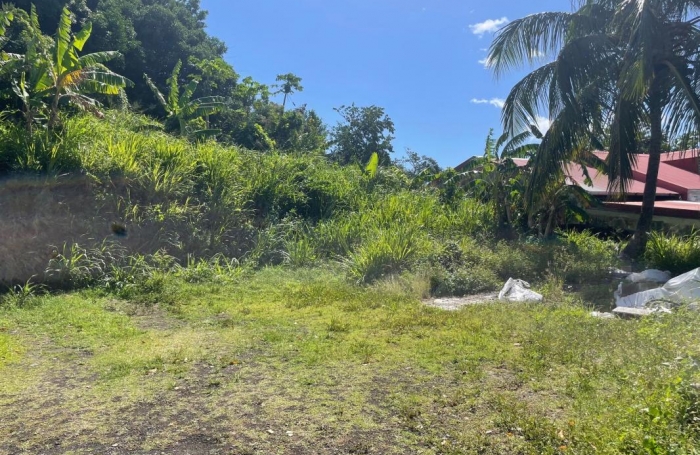 Vente Terrain 545m&sup2; Gourbeyre