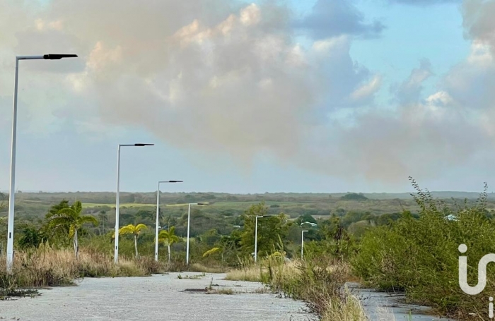 Vente Terrain 500m&sup2; Anse-Bertrand