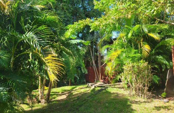 Saint-Claude, Villa T5 Piscine, Studio et Bungalow