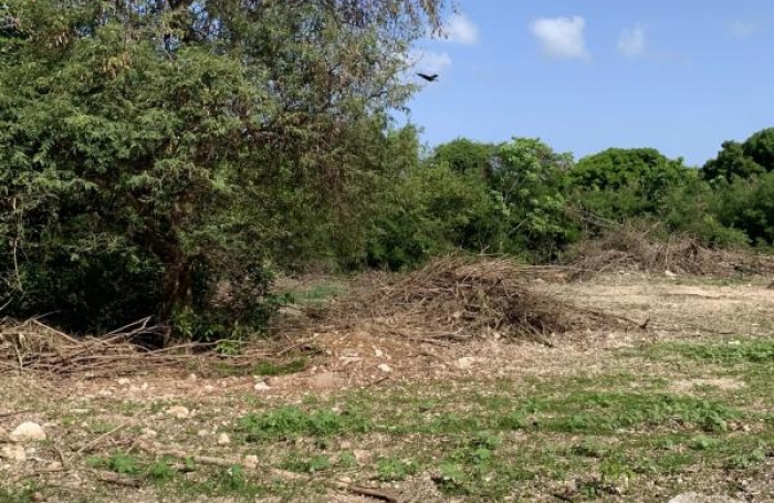 Vente Terrain 729m&sup2; Saint François