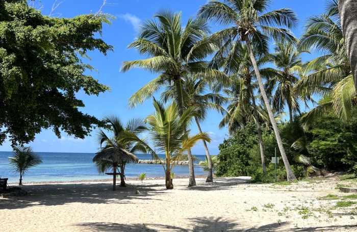 APPARTEMENT ANSE DES ROCHERS JOLIE VUE MER ET PISCINE