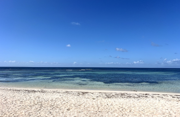 APPARTEMENT ANSE DES ROCHERS JOLIE VUE MER ET PISCINE
