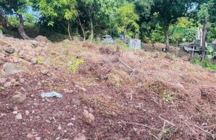 Vente Terrain 366m&sup2; Vieux Habitants