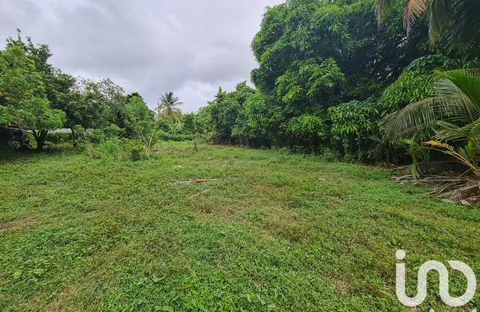 Vente Terrain 97160