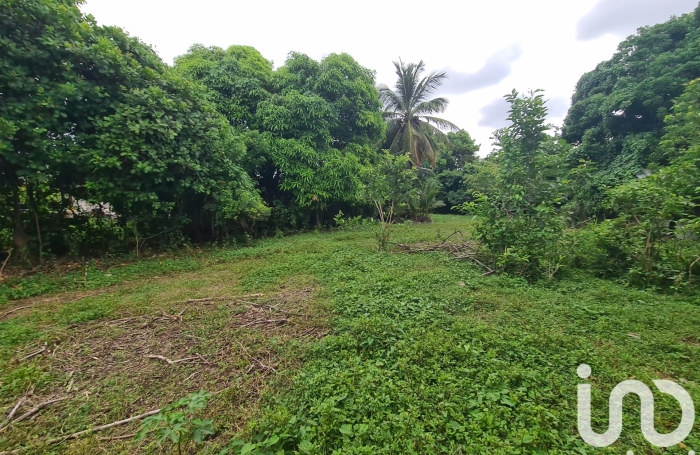 Vente Terrain 1196m&sup2; Le Moule