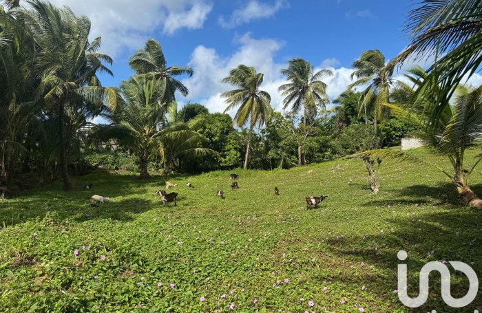 Vente Terrain 2037m&sup2; Morne à l'eau