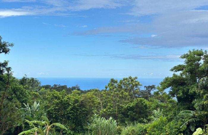 Location Maison 130.04m&sup2; 4 pièces Saint Claude