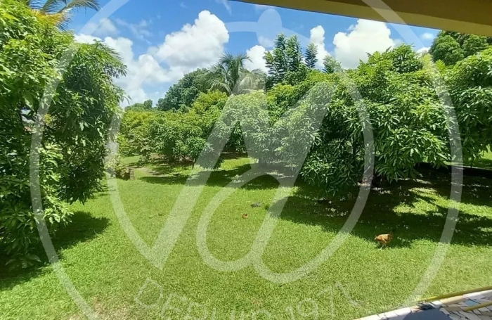 Vente Maison 6 pièces Les Abymes