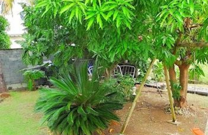 Vente Maison 78m&sup2; 4 pièces Anse-Bertrand