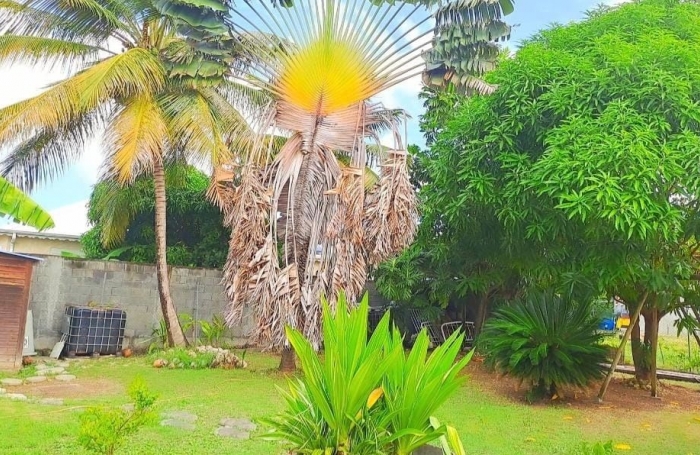 Vente Maison 78m&sup2; 4 pièces Anse-Bertrand