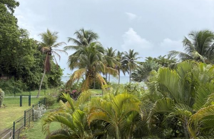 Location Appartement 43.23m&sup2; 2 pi&#232;ces Gosier