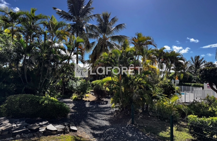 Vente Appartement 35m&sup2; 1 pi&egrave;ce Saint Fran&ccedil;ois