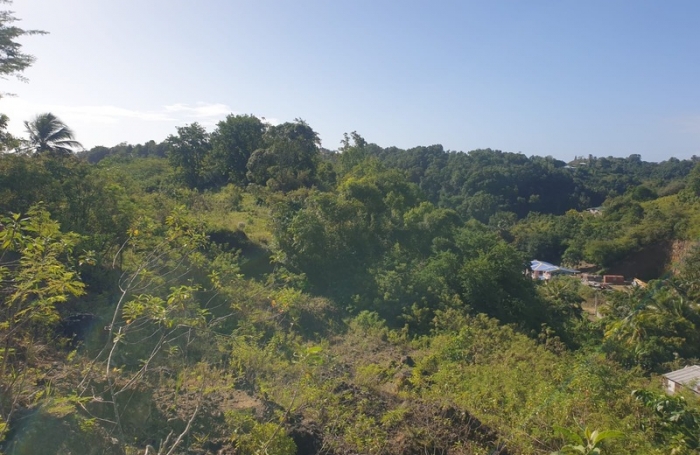 Vente Terrain 2000m&sup2; Gosier