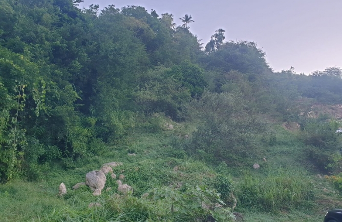 Vente Terrain 2000m&sup2; Gosier