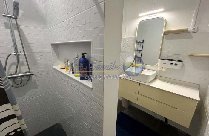 Maison familiale d'architecture cr&eacute;ole sur deux niveaux - Trois logements ind&eacute;pendants