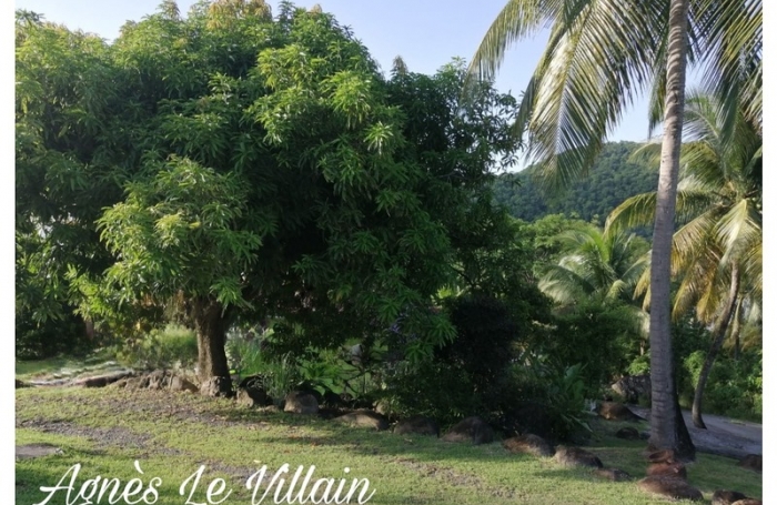 Vente Maison 550m&sup2; 28 pièces Deshaies