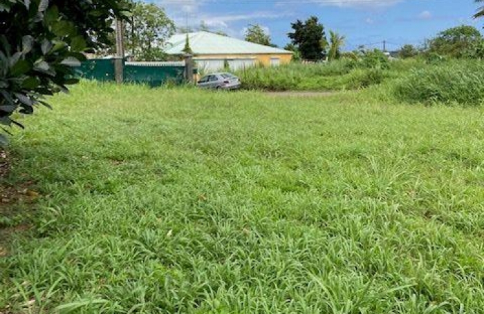 Vente Terrain 800m&sup2; Baie Mahault