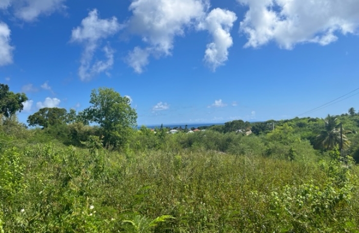 Terrain constructible de 1 220 m2 avec aper&ccedil;u mer   Saint-Fran&ccedil;ois, secteur Bellevue