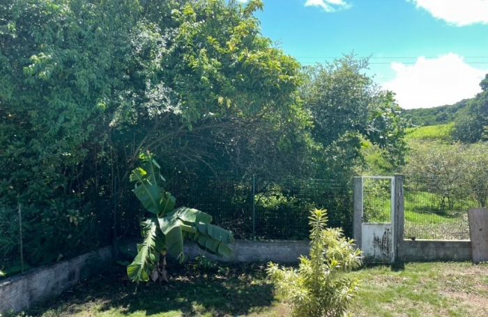 Location Maison 53m&sup2; 3 pièces Sainte Anne