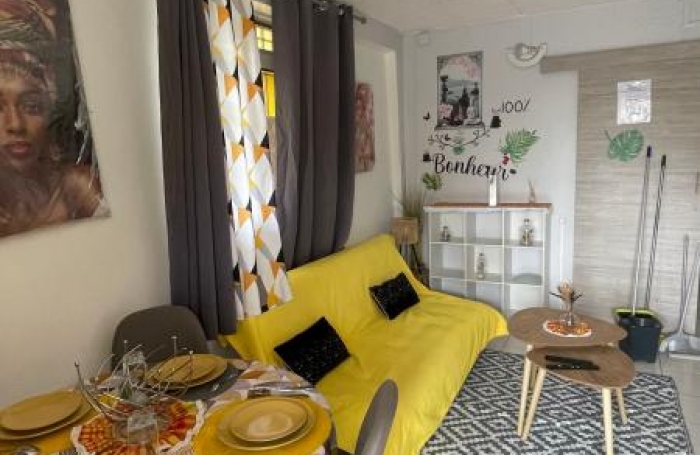 Location Appartement 97190