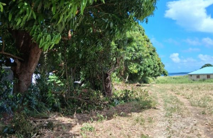 Vente Terrain 800m&sup2; Sainte Rose