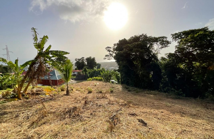 Vente Terrain 97113