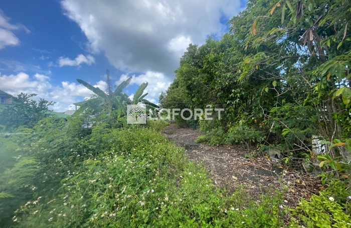 Vente Terrain 400m&sup2; Petit-Canal