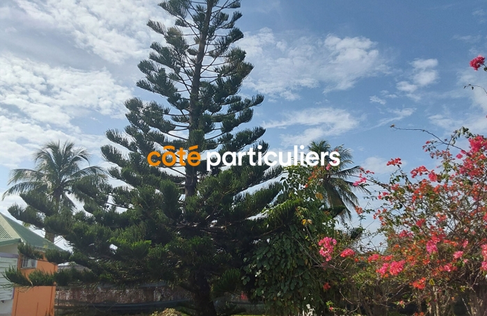 Vente Terrain 1800m&sup2; 10 pi&egrave;ces Capesterre de Marie Galante