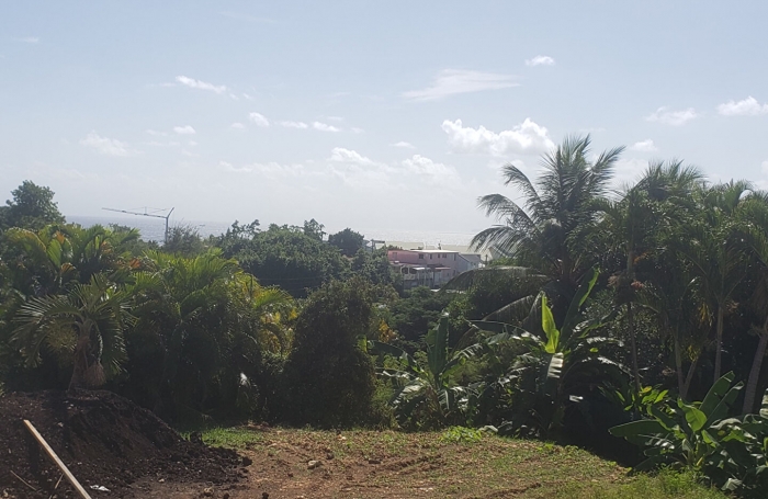 Vente Terrain 600m&sup2; Gosier